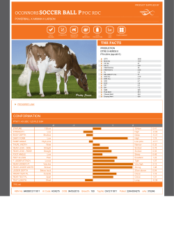 Cogent International :: Bulls :: ExcelGen :: OCONNORS SOCCER