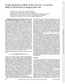 Single-exhalation profiles of NO and CO2 in humans: effect of