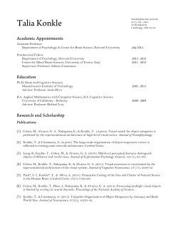 cv - Talia Konkle - Harvard University