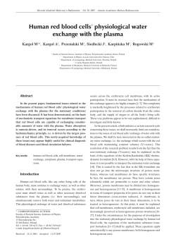 Human red blood cells` physiological water exchange with the plasma