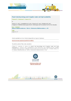 Peach leaf physiology and irrigation water and light availability