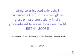 (SIF) to constrain global gross primary productivity in the process