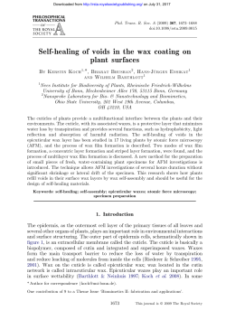 Self-healing of voids in the wax coating on plant surfaces