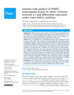 Genome-wide analysis of WRKY transcription factors in wheat