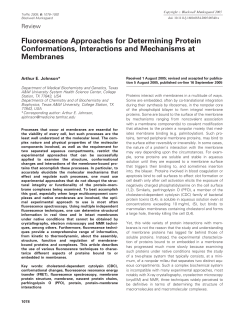 Fluorescence Approaches for Determining Protein Conformations