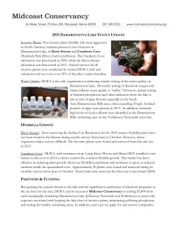 Invasive Plants: The invasive plant Hydrilla (the most aggressive in