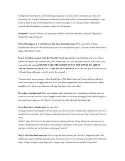 Fading Kitten Syndrome - San Antonio Pets Alive