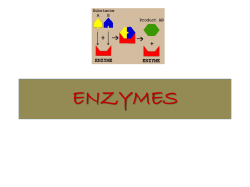 enzymes - Yengage