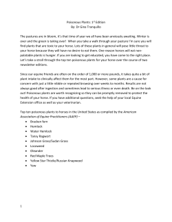 Poisonous Plants: 1st Edition By: Dr Gina Tranquillo The pastures