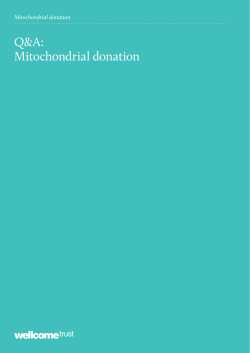 Mitochondrial donation FAQs