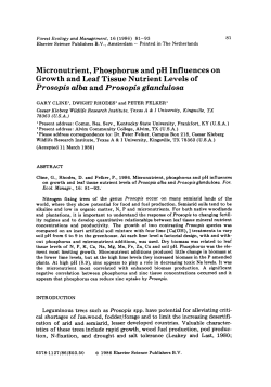 Prosopis alba and Prosopis glandulosa