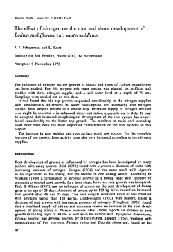 The effect of nitrogen on the root and shoot development of Lolium
