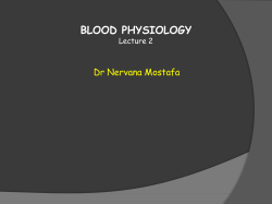 blood physiology