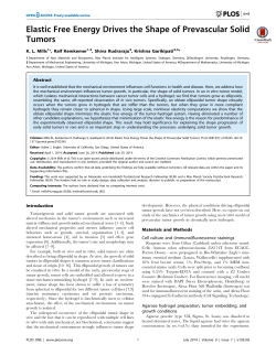 Elastic Free Energy Drives the Shape of Prevascular Solid Tumors