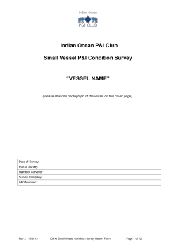 Condition Survey Report (Smaller Vessel)