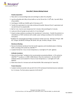 Direct-Blot&trade; Western Blotting Protocol Sample preparation: 1. Place