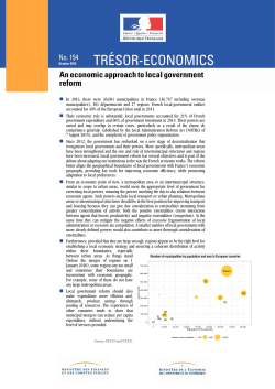 An economic approach to local government reform