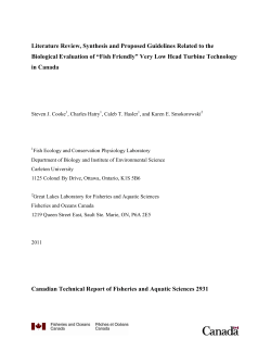 Literature Review, Synthesis and Proposed Guidelines Related to