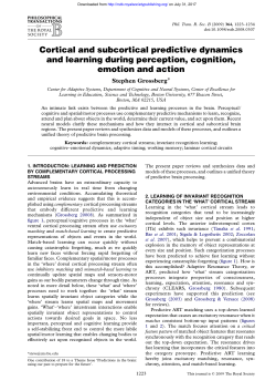 Cortical and subcortical predictive dynamics and learning during