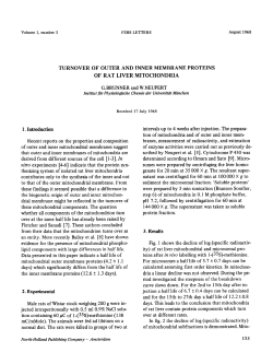 Turnover of outer and inner membrane proteins of rat liver
