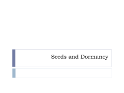 Seeds and Dormancy