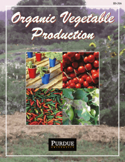 Organic Vegetable Production