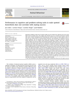 Performance in cognitive and problem-solving