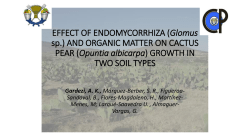 EFFECT OF ENDOMYCORRHIZA (Glomus sp.) AND ORGANIC