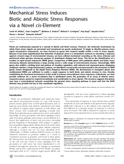 Mechanical Stress Induces Biotic and Abiotic Stress Responses via