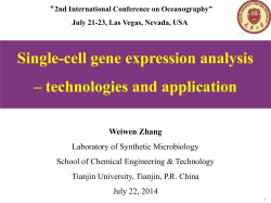 weiwen-zhang-tianjin-university-china