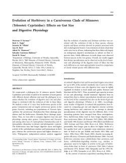 Evolution of Herbivory in a Carnivorous Clade of Minnows