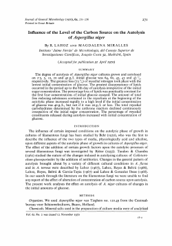 Influence of the Level of the Carbon Source on the