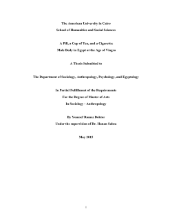 Male Body in Egypt at the Age of Viagra