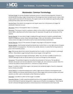 Wastewater: Common Terminology