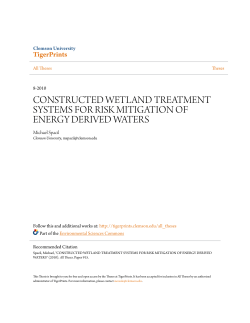 constructed wetland treatment systems for risk mitigation of energy