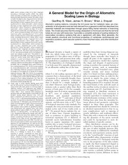A General Model for the Origin of Allometric Scaling Laws in Biology