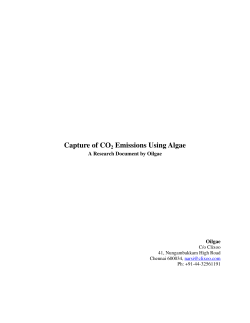 Capture of CO2 Emissions Using Algae