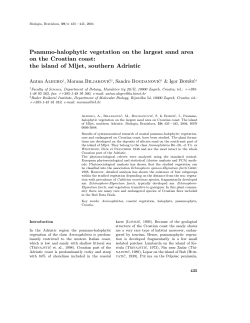 Psammo-halophytic vegetation on the largest sand area on the