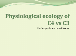 Cost/Benefit Trade-Offs of CAM and C4 vs C3