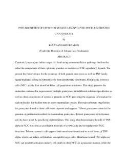 PHYLOGENETICS OF EFFECTOR MOLECULES INVOLVED IN