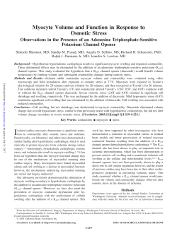 Myocyte Volume and Function in Response to Osmotic Stress