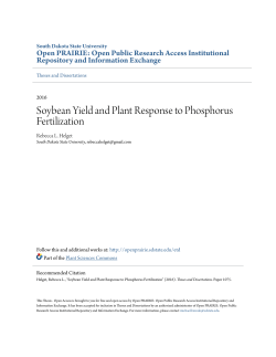 Soybean Yield and Plant Response to Phosphorus