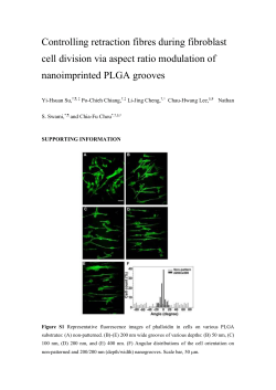 Controlling retraction fibres during fibroblast cell division via aspect