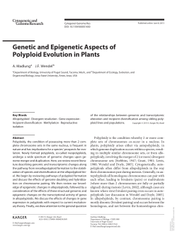 Genetic and Epigenetic Aspects of Polyploid Evolution in Plants