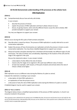 Level 2 Biology - No Brain Too Small