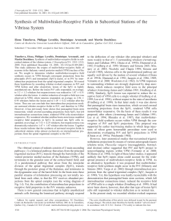 Synthesis of Multiwhisker-Receptive Fields in Subcortical Stations of