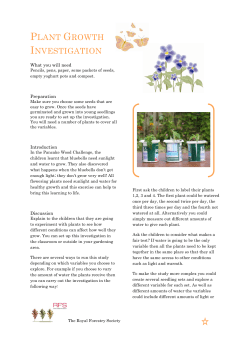 plant growth investigation
