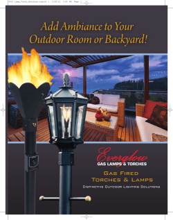 2015 Lamp Torch Brochure