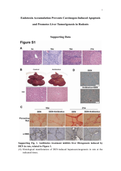 Endotoxin Accumulation Prevents Carcinogen-Induced
