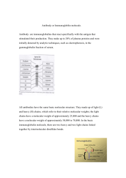 Antibody are immunoglobulins that react specifically with the antigen